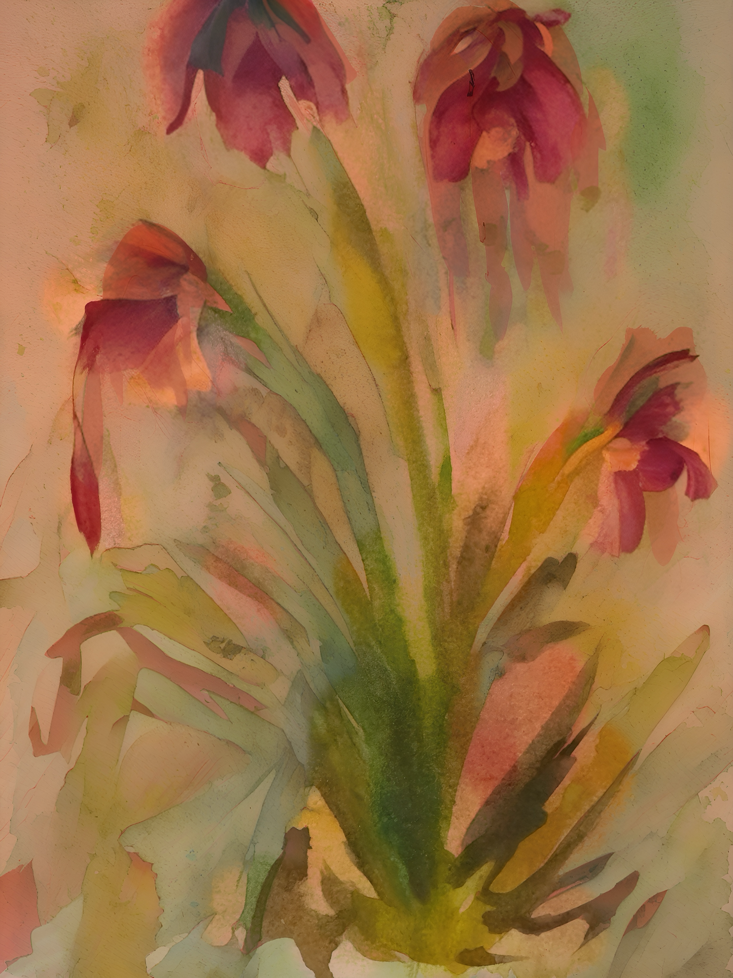 Weary Beauty (24”x 32” Framed canvas)